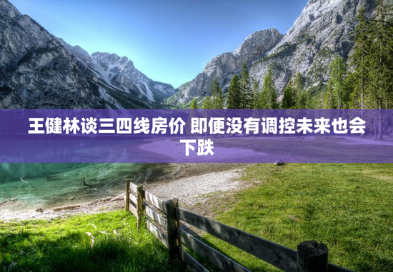 王健林谈三四线房价 即便没有调控未来也会下跌