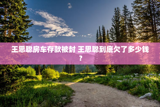 王思聪房车存款被封 王思聪到底欠了多少钱？