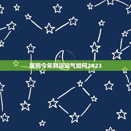 属狗今年财运运气如何2023(狗年运势大介绍)