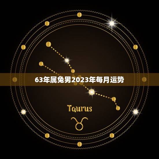 63年属兔男2023年每月运势(兔子男的好运连连财运事业双丰收)