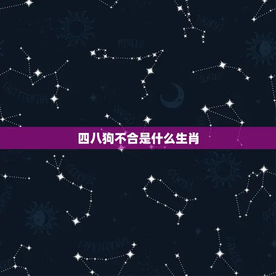 四八狗不合是什么生肖