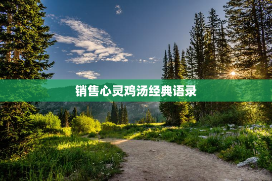 销售心灵鸡汤经典语录