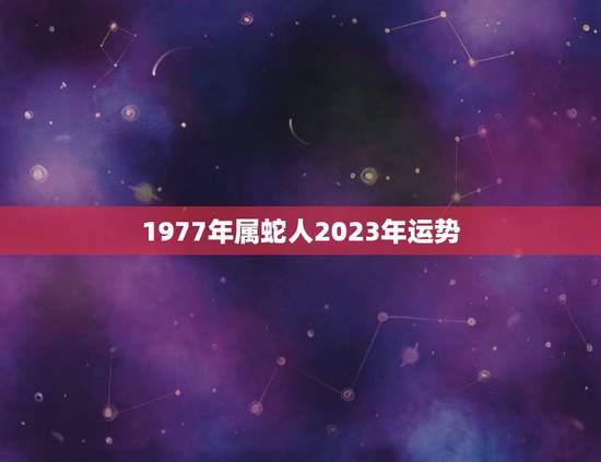 1977年属蛇人2023年运势(事业顺风顺水财运亨通)