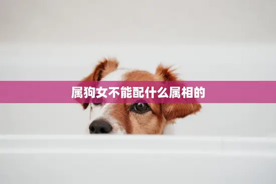 属狗女不能配什么属相的(解析属相配对的秘密)