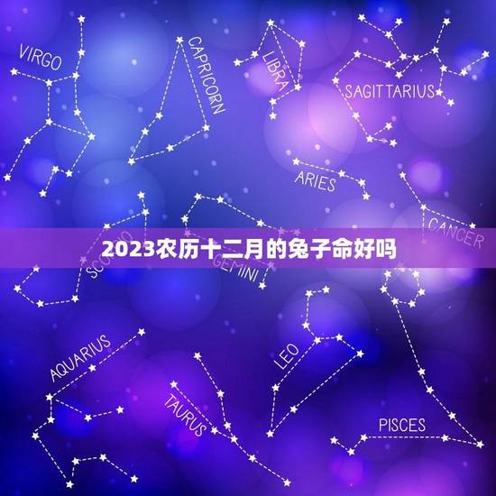2023农历十二月的兔子命好吗(介绍运势如何)