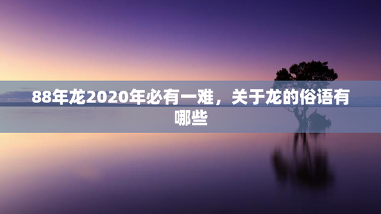88年龙2020年必有一难，关于龙的俗语有哪些