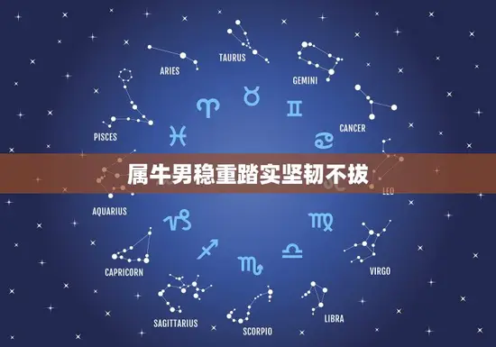 属牛男稳重踏实坚韧不拔