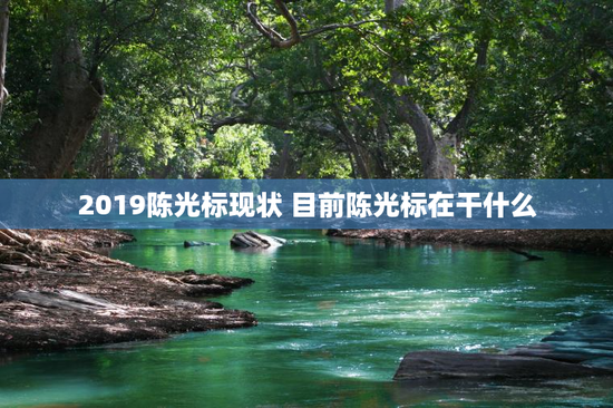 2019陈光标现状 目前陈光标在干什么