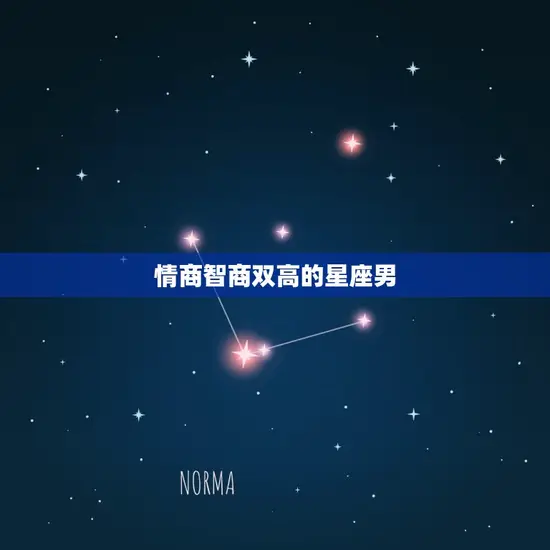 情商智商双高的星座男
