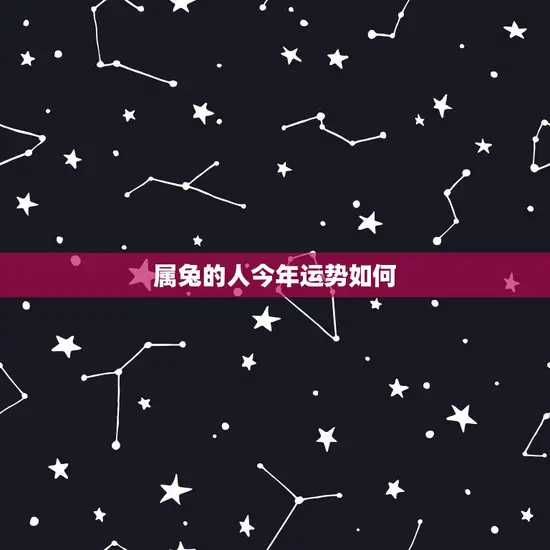 属兔的人今年运势如何