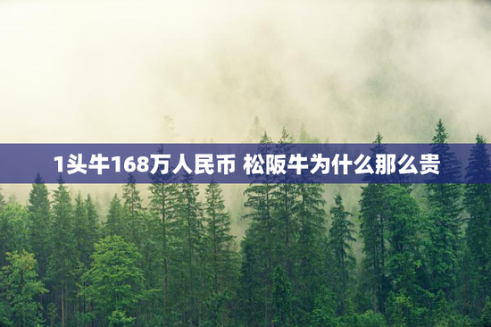 1头牛168万人民币 松阪牛为什么那么贵