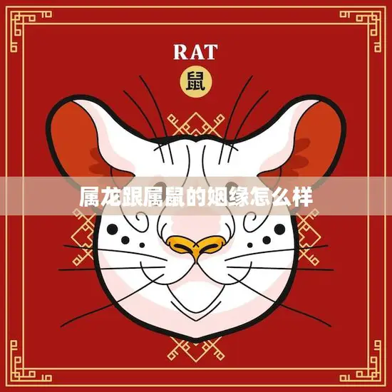 属龙跟属鼠的姻缘怎么样(解析龙鼠配合的优缺点)