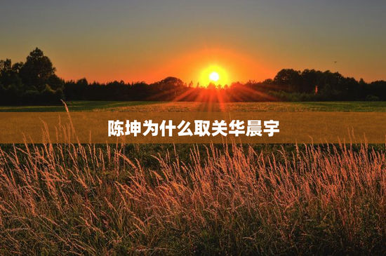 陈坤为什么取关华晨宇