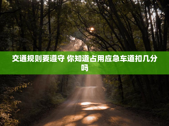 交通规则要遵守 你知道占用应急车道扣几分吗