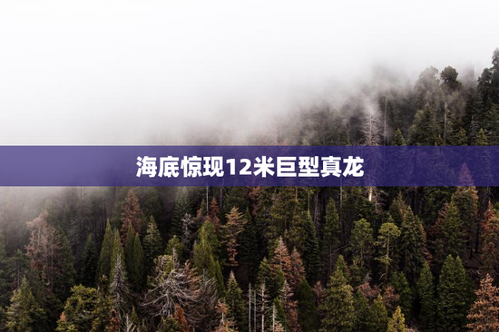 海底惊现12米巨型真龙