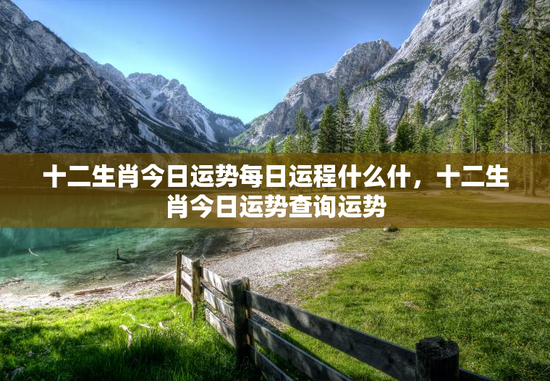 十二生肖今日运势每日运程什么什，十二生肖今日运势查询运势