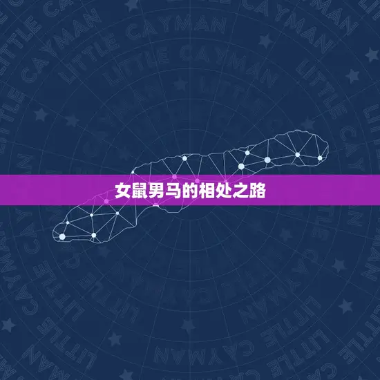 女鼠男马的相处之路