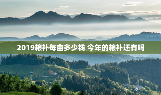 2019粮补每亩多少钱 今年的粮补还有吗