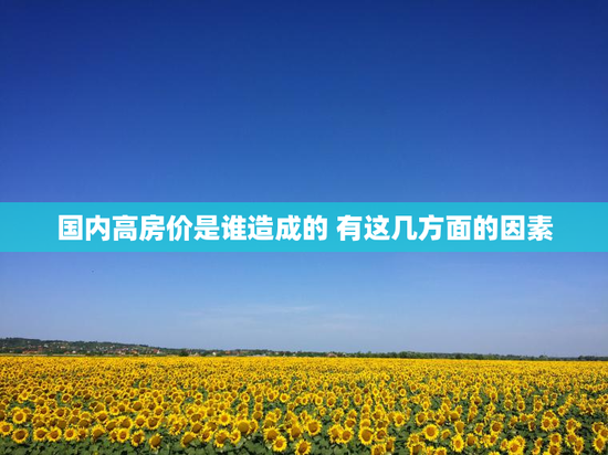 国内高房价是谁造成的 有这几方面的因素