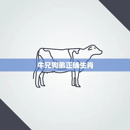 牛兄狗弟正确生肖(揭秘你真正的属相是什么)