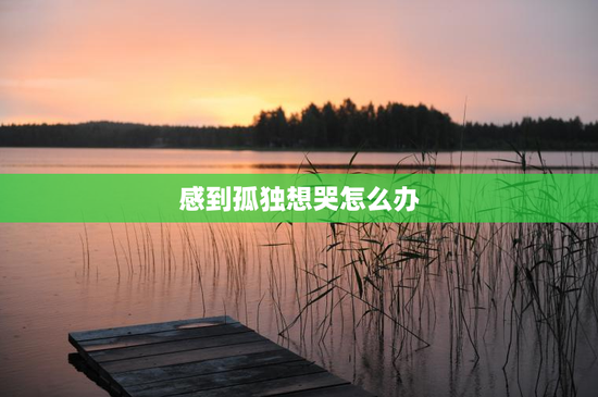 感到孤独想哭怎么办