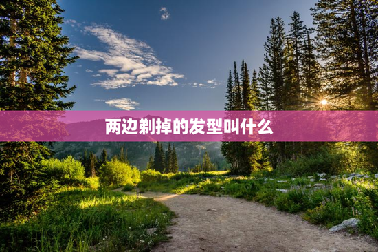 两边剃掉的发型叫什么