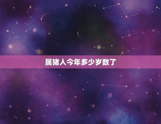 属猪人今年多少岁数了