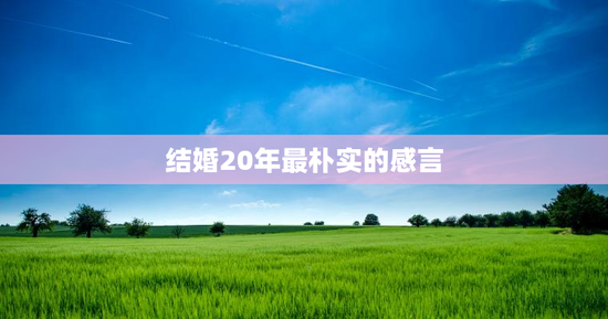 结婚20年最朴实的感言