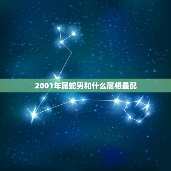 2001年属蛇男和什么属相最配(寻找配对)