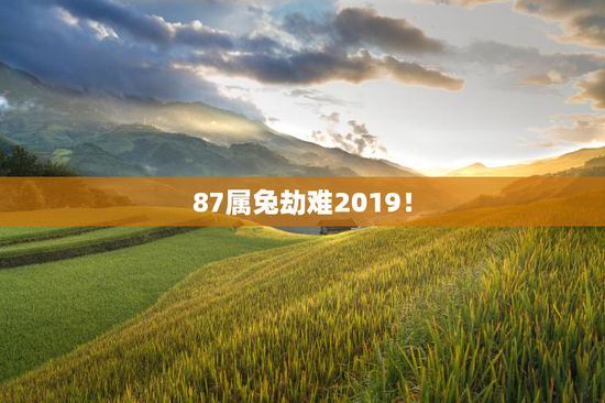 87属兔劫难2019！