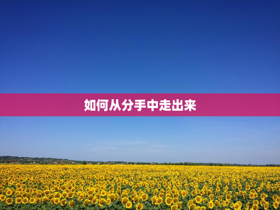 如何从分手中走出来