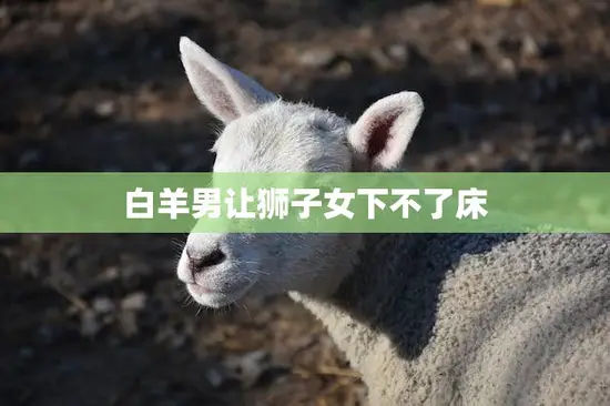 白羊男让狮子女下不了床(如何解决性格不合的问题)