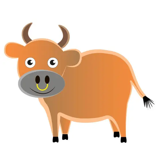 金牛座女和谁最配夫妻关系(完美匹配的星座组合)