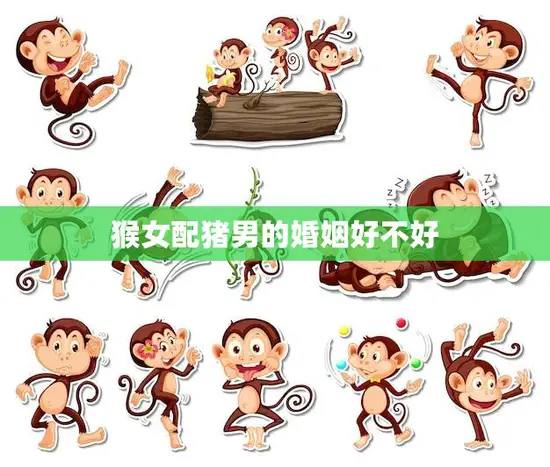 猴女配猪男的婚姻好不好(如何应对星座不合的婚姻)
