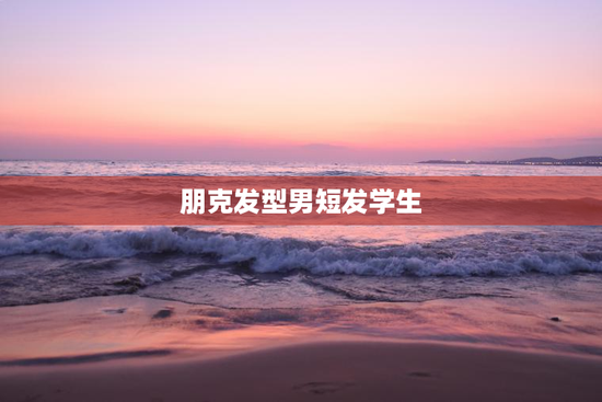 朋克发型男短发学生