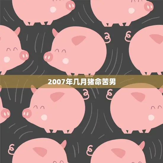 2007年几月猪命苦男(命运多舛的一年)