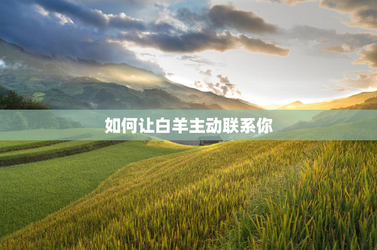 如何让白羊主动联系你