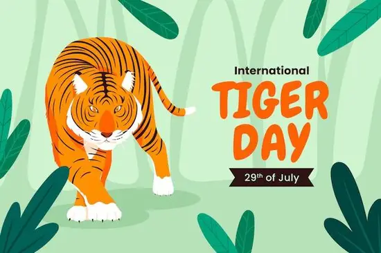 女虎和男兔合不合适婚姻(如何避免婚姻矛盾)