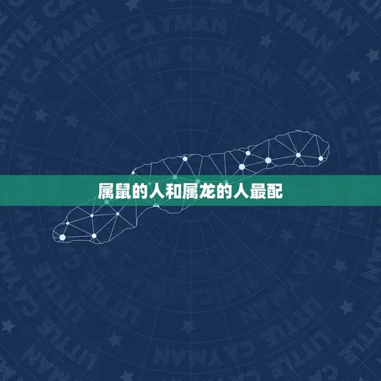属鼠的人和属龙的人最配