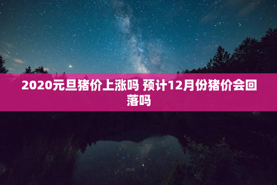 2020元旦猪价上涨吗 预计12月份猪价会回落吗