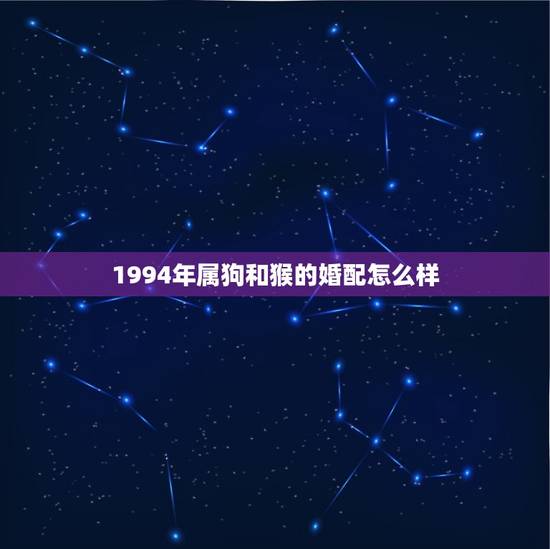 1994年属狗和猴的婚配怎么样(如何避免矛盾)