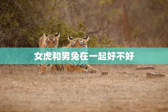 女虎和男兔在一起好不好(探讨星座配对的真相)