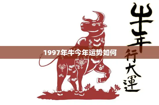 1997年牛今年运势如何(财运亨通事业顺利感情稳定)
