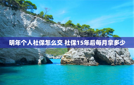 明年个人社保怎么交 社保15年后每月拿多少