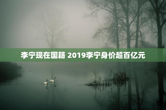 李宁现在国籍 2019李宁身价超百亿元