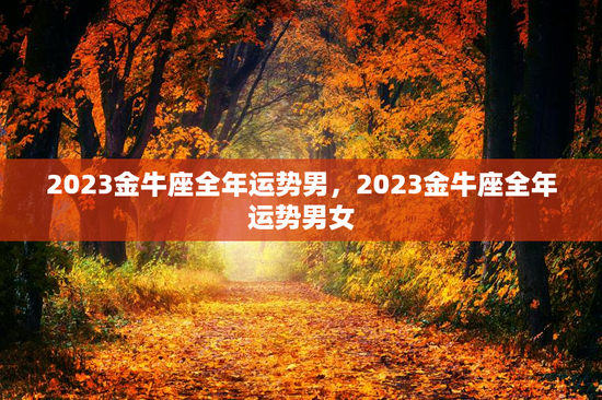 2023金牛座全年运势男，2023金牛座全年运势男女