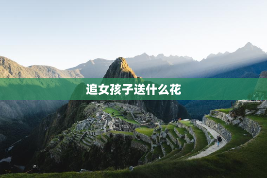 追女孩子送什么花