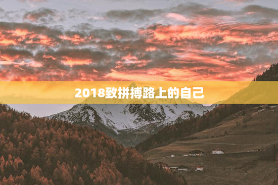 2018致拼搏路上的自己