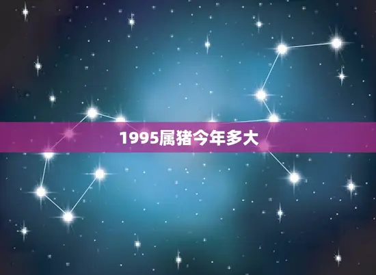 1995属猪今年多大