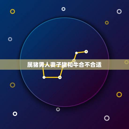 属猪男人妻子猪和牛合不合适(猪牛姻缘星座配对分析)